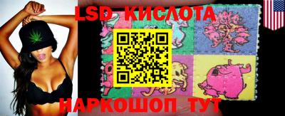 PSILOCYBIN Донской