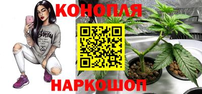 ECSTASY Дубна