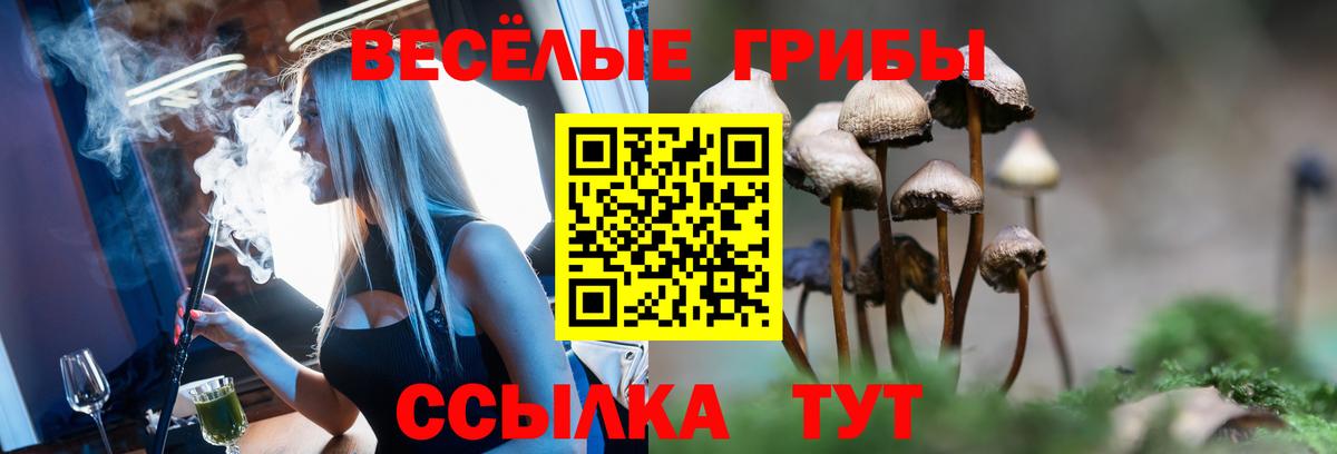 Галлюциногенные грибы прущие грибы  Вход с VPN  Кушва  Галлюциногенные грибы Cubensis 